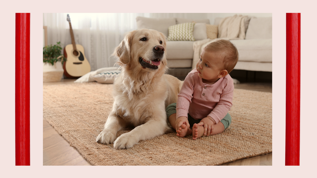 4 Benefícios Encantadores do Convívio de Bebês com Animais