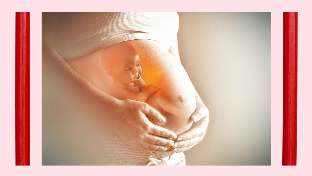 O Maravilhoso Mundo do Bebê na Barriga: o que ele Sente e Ouve durante a Gestação